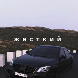 一A一片一级一片啪啪
