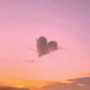 一A一片一级一片啪啪
