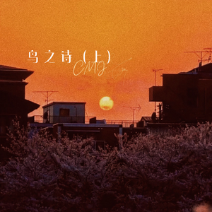 一A一片一级一片啪啪
