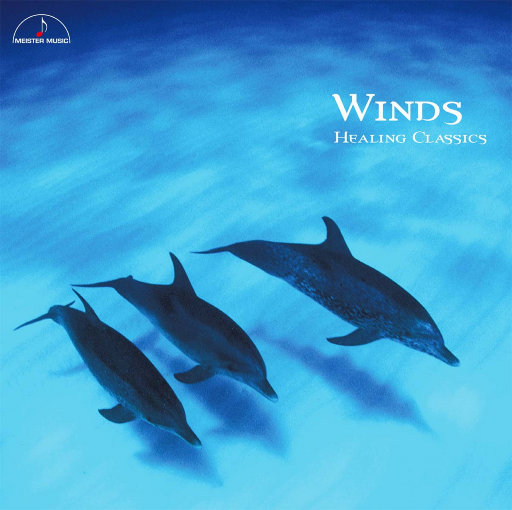 一A一片一级一片啪啪
